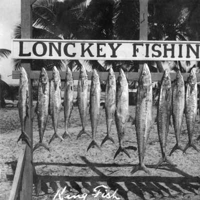Kingfish