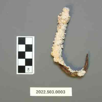 Fish Hook