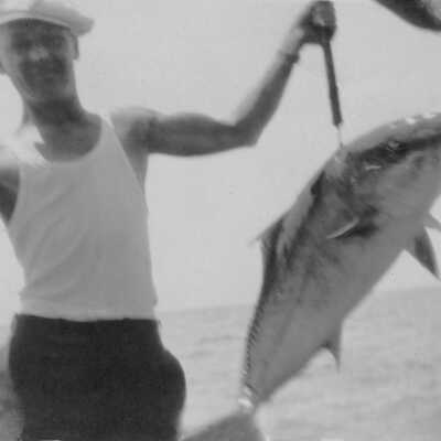Amberjack
