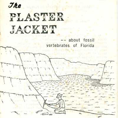 The Plaster Jacket #14