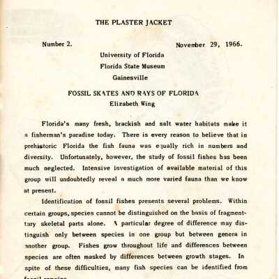 The Plaster Jacket #2