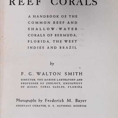 Atlantic Reef Corals