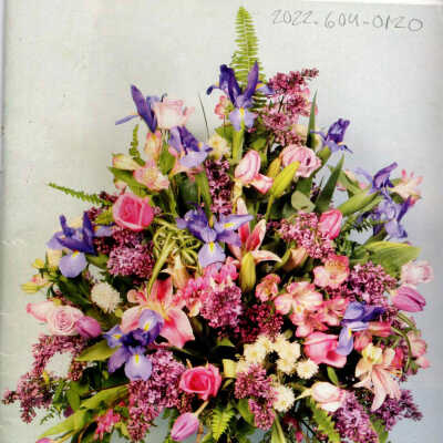 The National Gardener Summer 2014