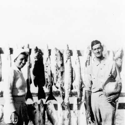 A Few Fish