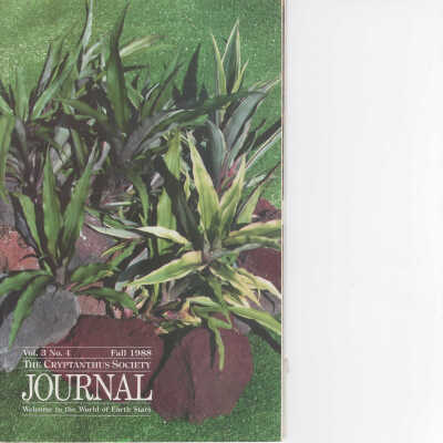 Fall 1988 Cryptanthus Society Journal
