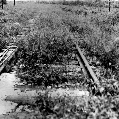 Railroad Track Plantation Key