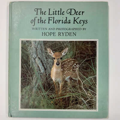 The Little Deer of the Florida Keys