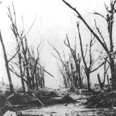 Overlooking the Devastation