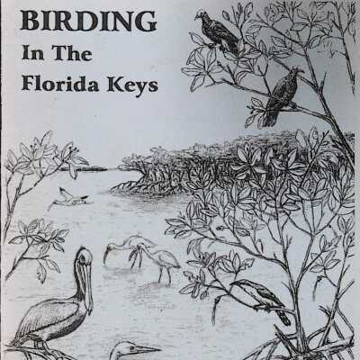 Birding in the Florida Keys