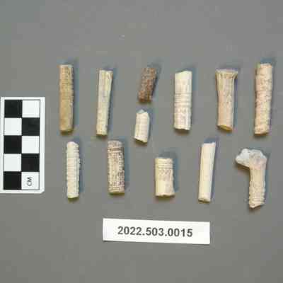 Decorative Clay Pipe Stems