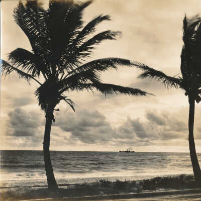On the Shore