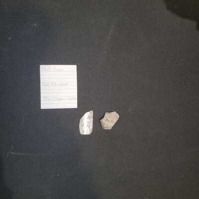 Shell Pieces