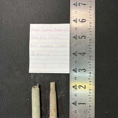 Two Brass Bullet Casings