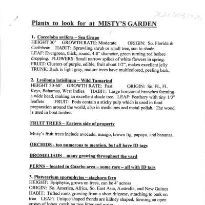 Plants to Look For