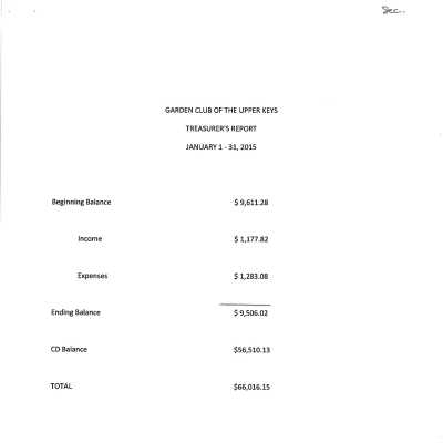January 1-31, 2015 Treasurer Report