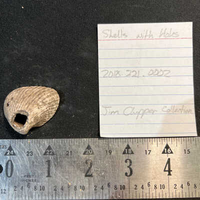 Shells with Holes