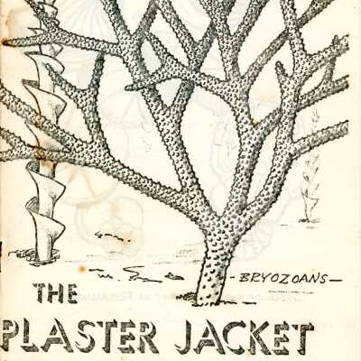 The Plaster Jacket #19