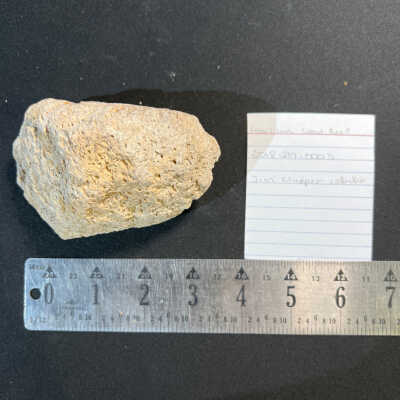 Fossilized Coral Reef