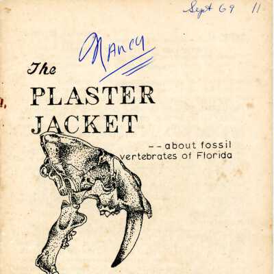 The Plaster Jacket #11