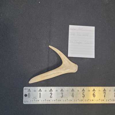 Antler Part