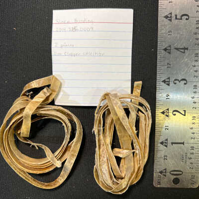 Sinew Binding