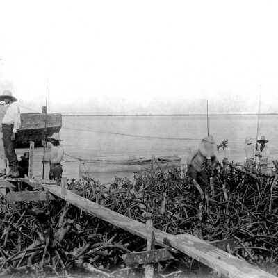 Big Coppitt Key Drilling