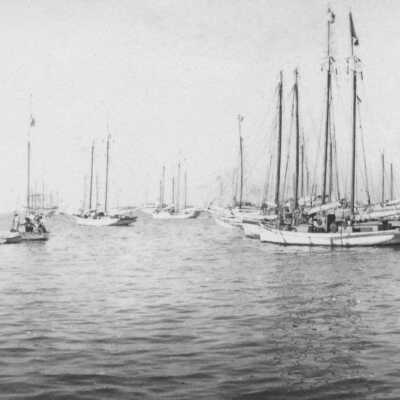 Key West Boats in the Harbor