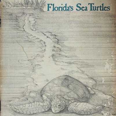 Florida's Sea Turtles