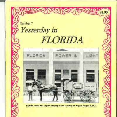 Yesterday in Florida, 2002, Number 7