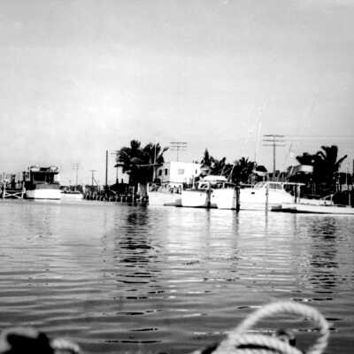 Yachts in Craig
