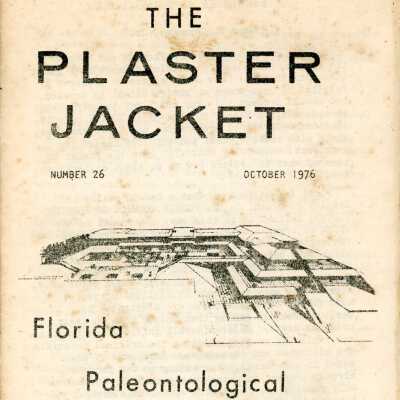 The Plaster Jacket #26