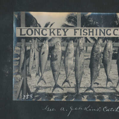 George A. Jenkins' Catch