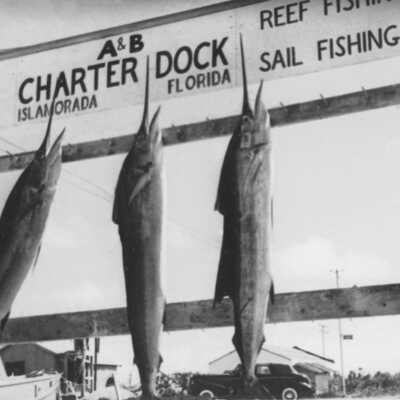 A & B Dock