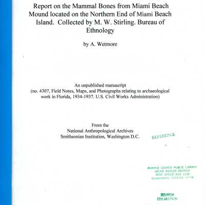 Report on the Mammal Bones from Miami Beach found located on the North End of Miami Beach Island. Collected by M.W. Stirling. Bureau of Ethnolgy