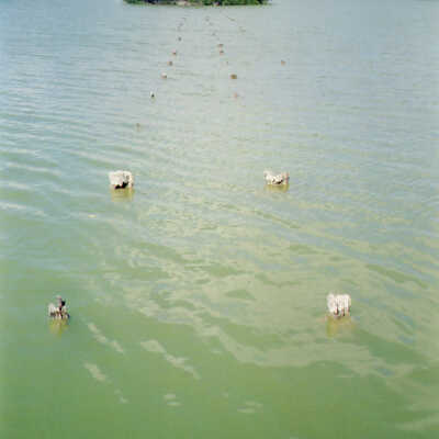 Blackwater Sound Pilings from RR 2