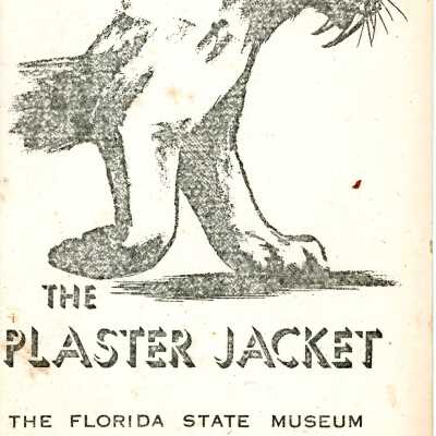 The Plaster Jacket #20