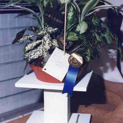 Unidentified GCUK Event (2000) - Miscellaneous Photos