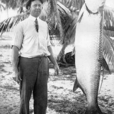 Fred C. N. Parke's Tarpon
