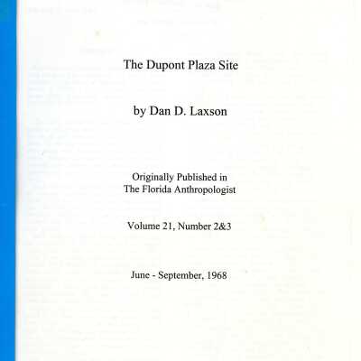 The Dupont Plaza Site