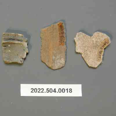 Misc. Animal Cranial Plates