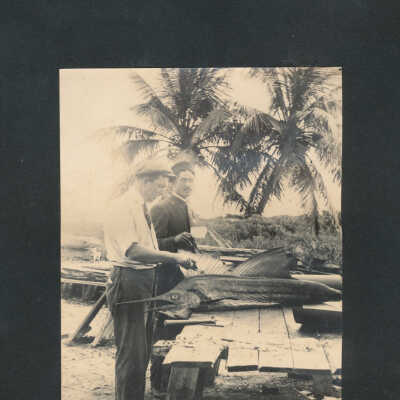 Fred C. N. Parke