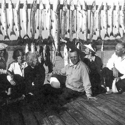A lot of Barracuda