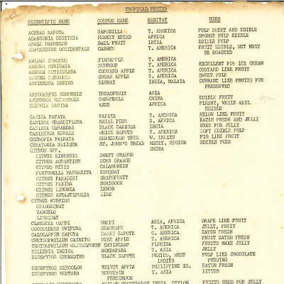List of Tropical Fruits
