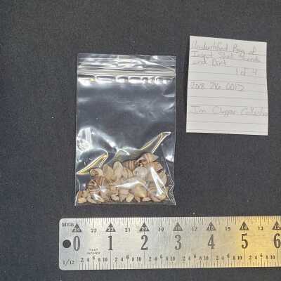 Unidentified Bag of Insect Shell, Sherds, and Dirt