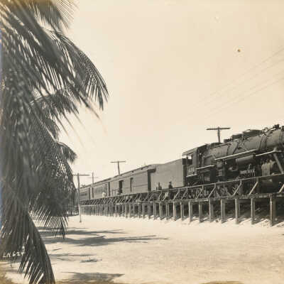 The Havana Special No. 431