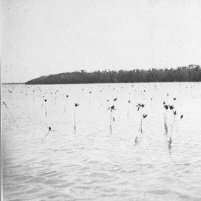 Present Channel and Marina