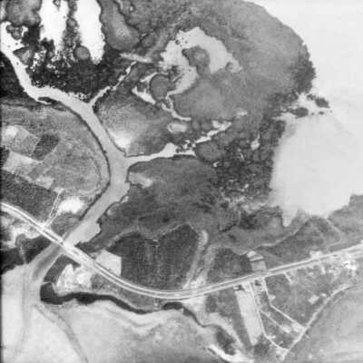 Tavernier and Tavernier Creek
