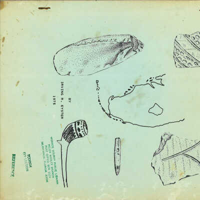 Hand Book of South Florida Archaeology