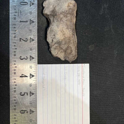 Goodland Plain Sherds