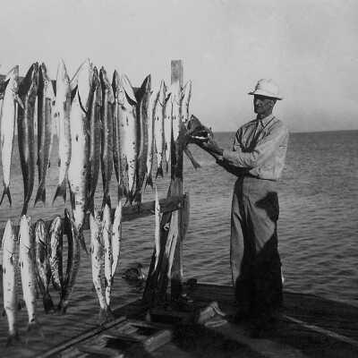 Checking Out the Catch